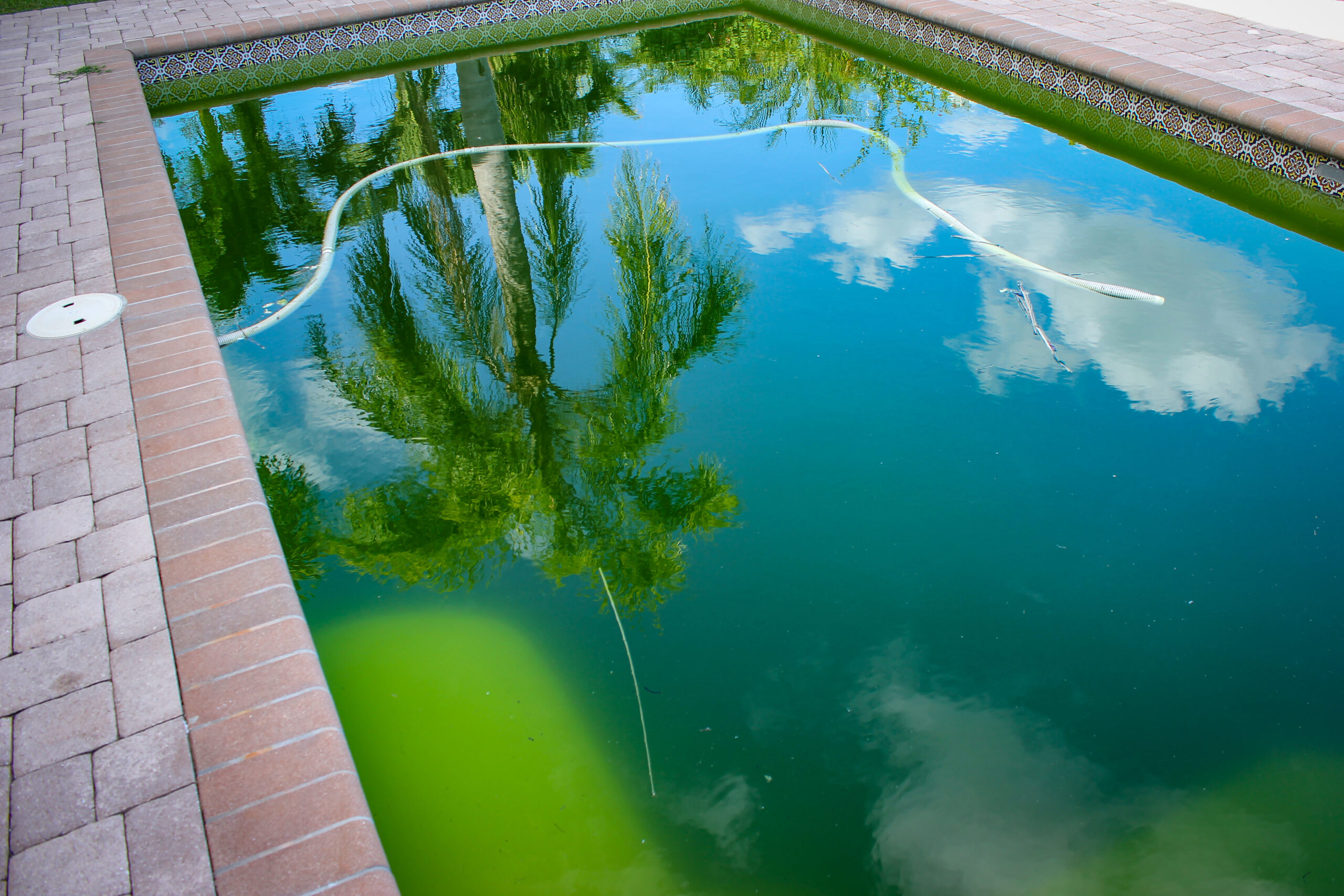 Jupiter-Tequesta Pool Service